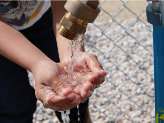 A child holds water in their hands 