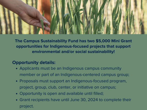indigenous mini grants