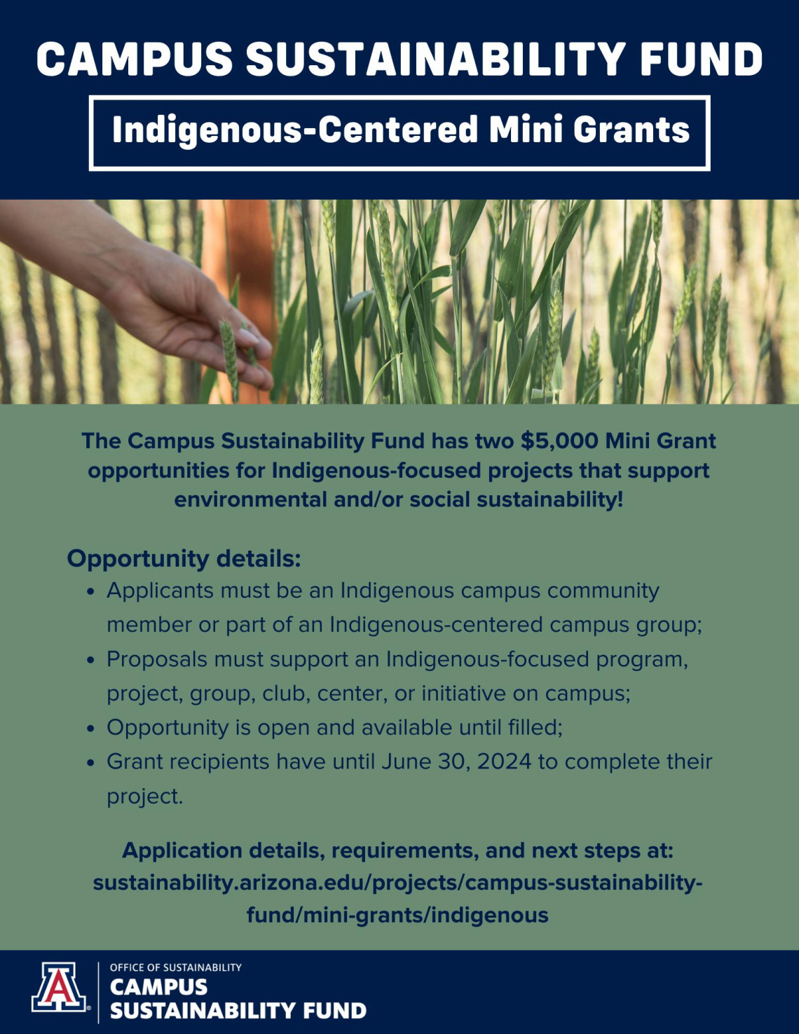 indigenous mini grants